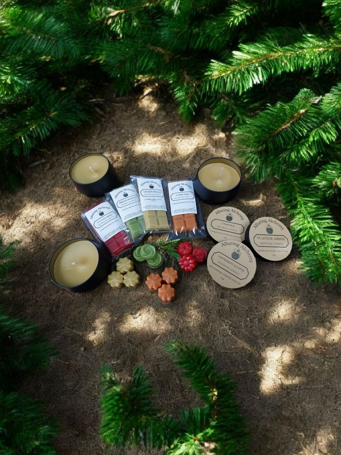 ✦ Alluring Alchemy Has Officially Launched ✦