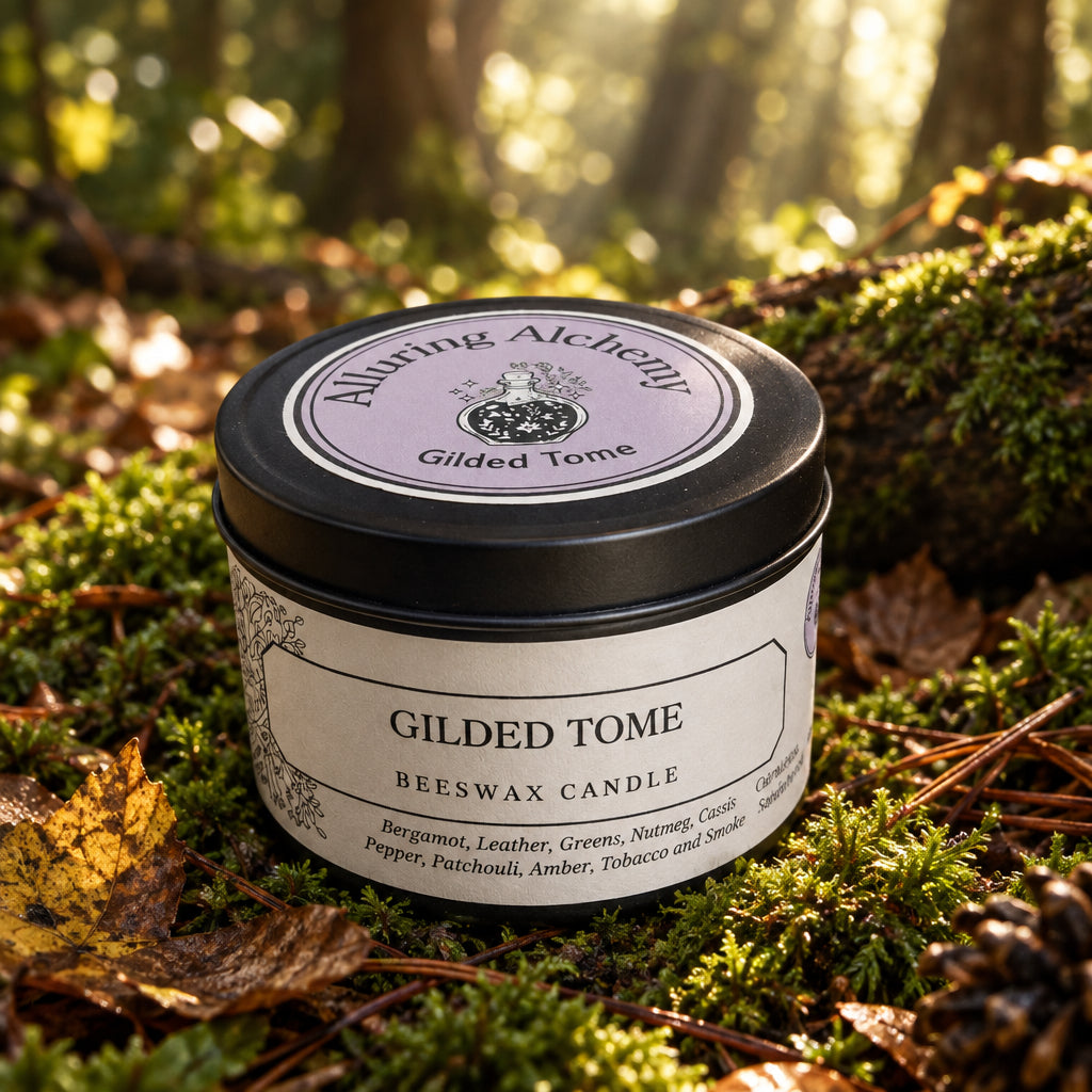 candle tin in black on a sun lite forest floor
