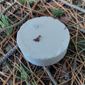 White cylindrical object on a ground covered with pine needles and twigs