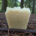 Bar of soap on a forest floor with trees in the background