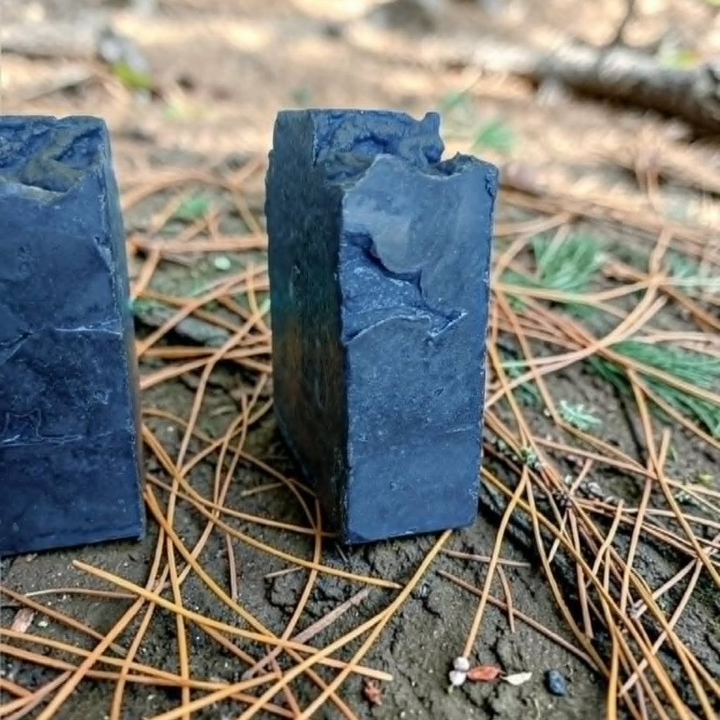 Two dark blue soap bars standing upright on forest ground covered with pine needles and twigs.