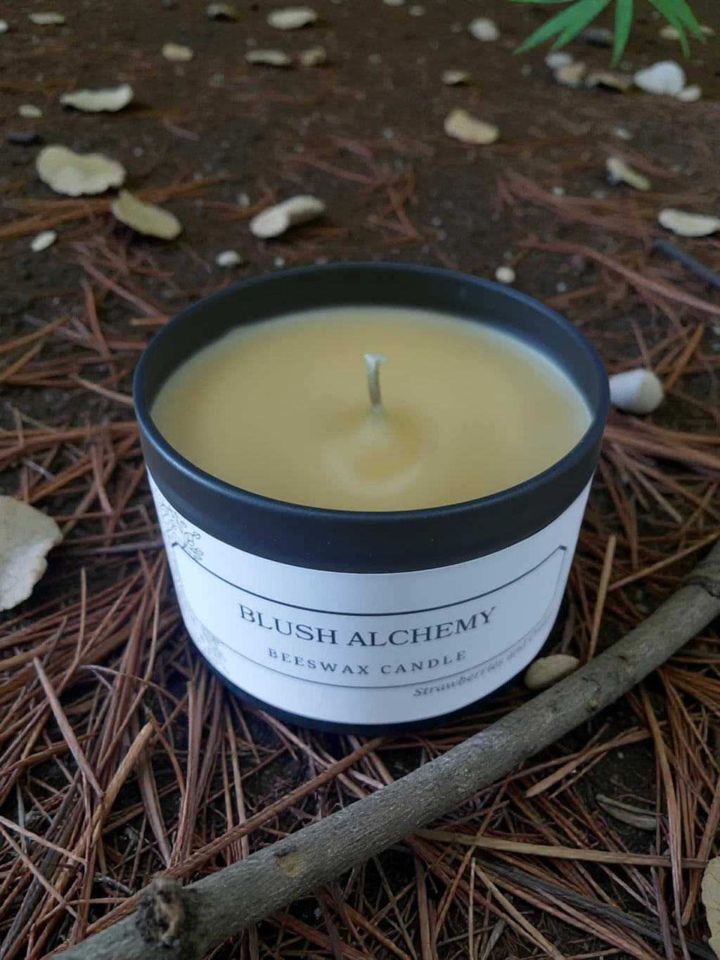 Blush Alchemy – Pure Beeswax Candle - 8oz | Alluring Alchemy