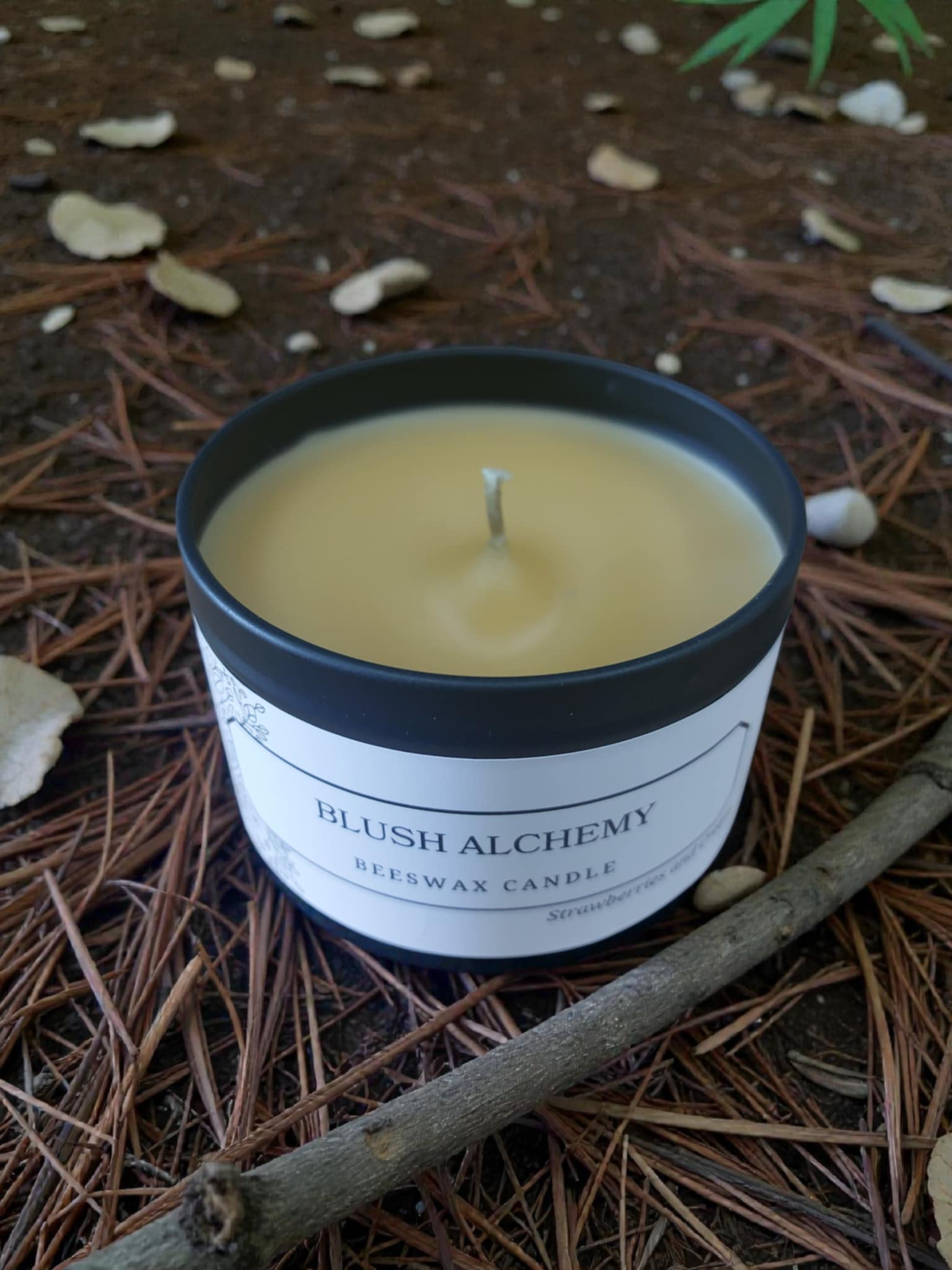 Blush Alchemy – Pure Beeswax Candle - 8oz | Alluring Alchemy