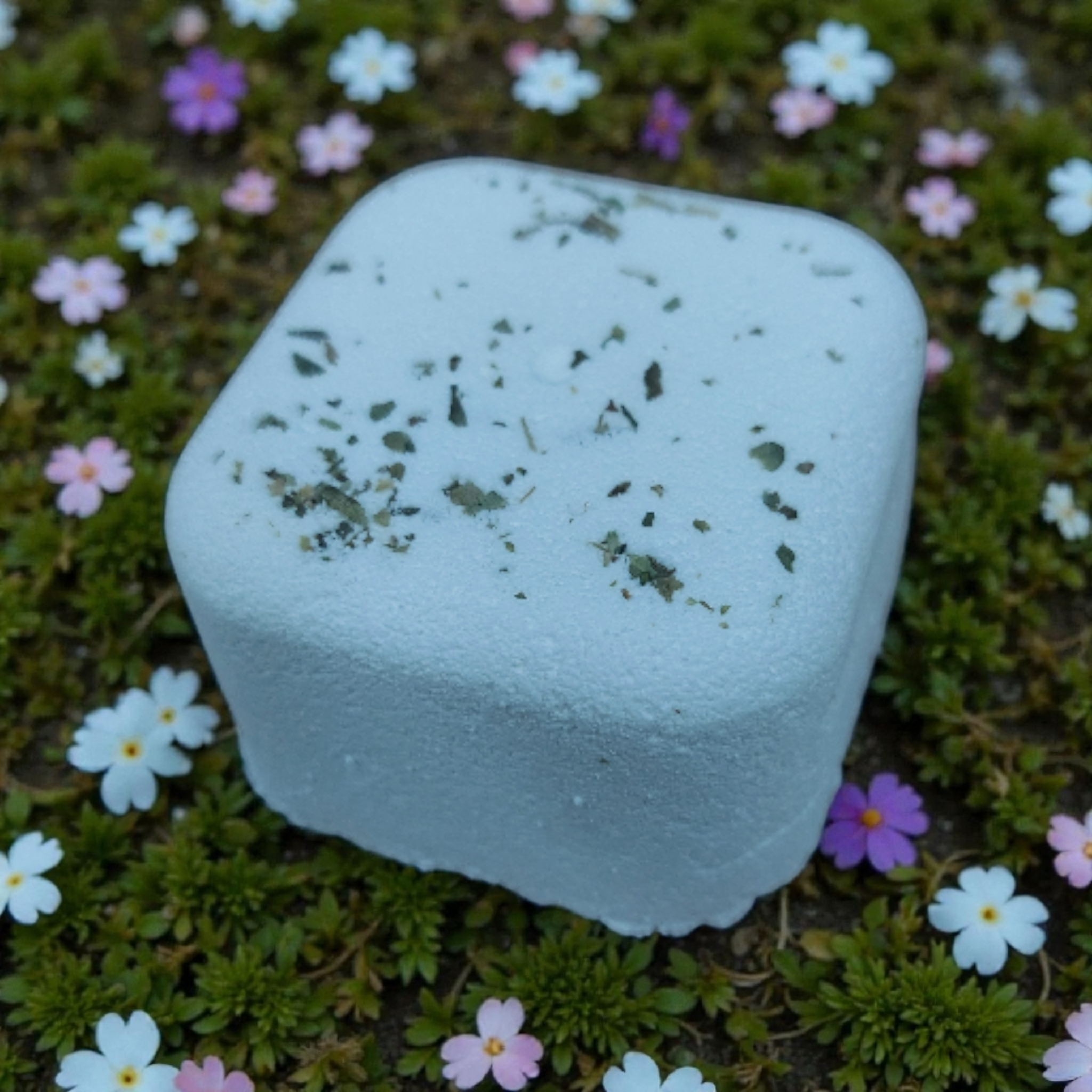 Kick Starter Shower Steamer