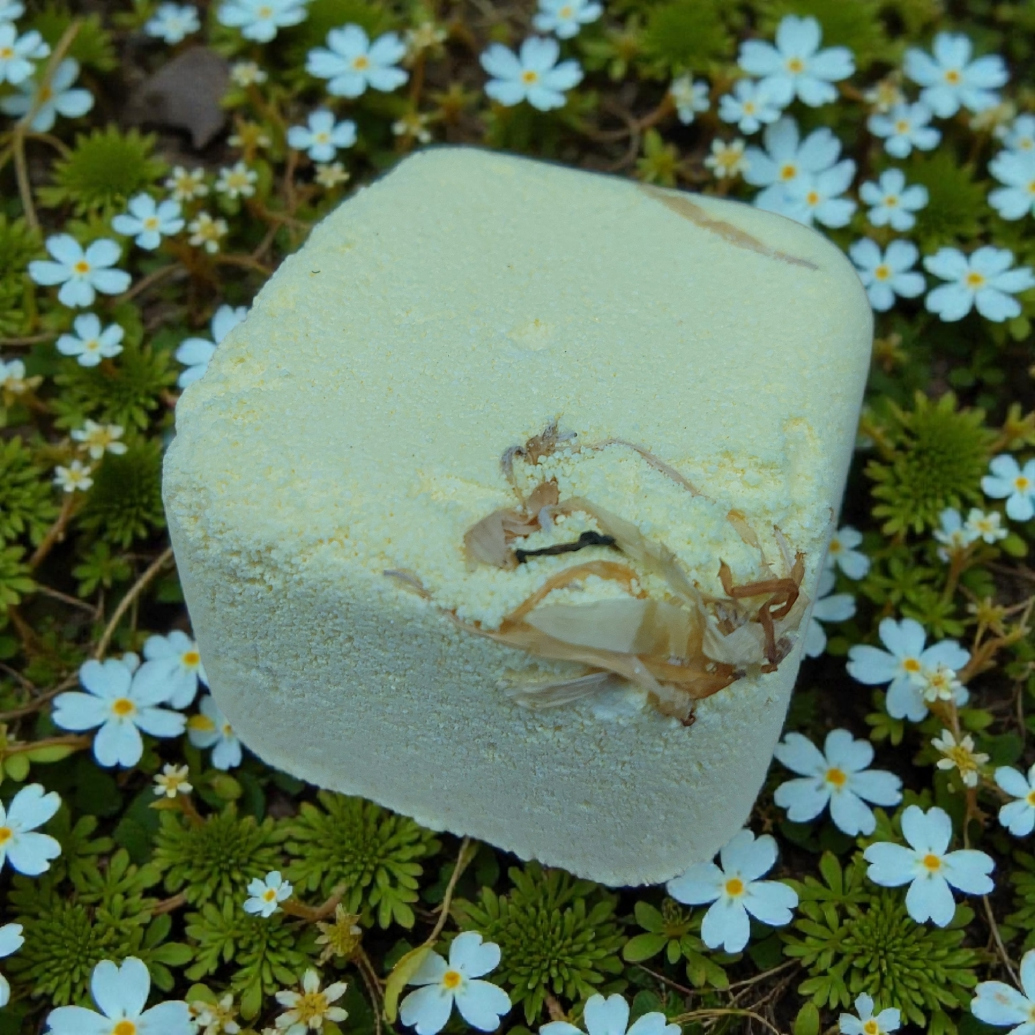 Focus Booster Shower Steamer