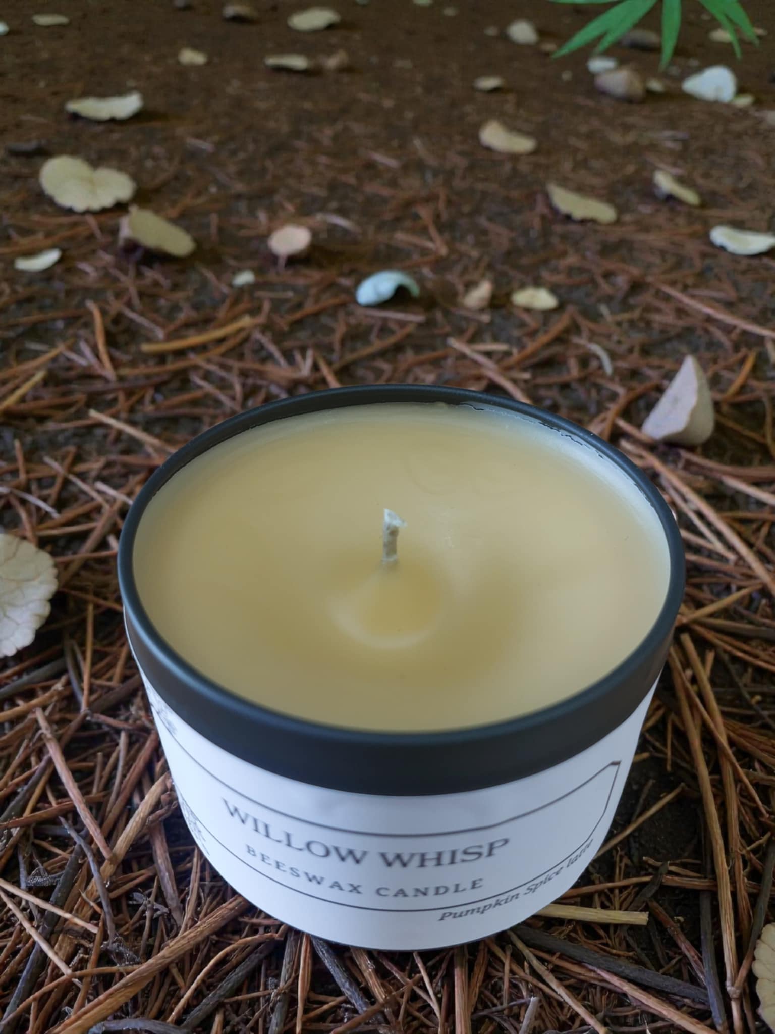 Willow Whisp – Pure Beeswax Candle - 8oz | Alluring Alchemy